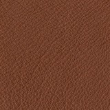 Leather aspen: 03 TERRACOTTA
