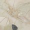 Wildflower Opaco marble